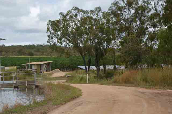 Skybury 1